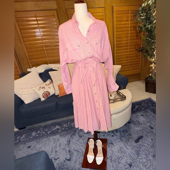 🌸 Free People Pink Striped Button-Front Shirt Dress‎ - Small, Old Money - Picture 3 of 13